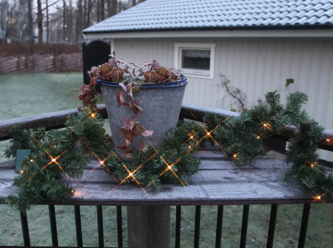 Star Trading Canadees Guirlande 250cm - 30 LED Groen - afbeelding 6 van 6