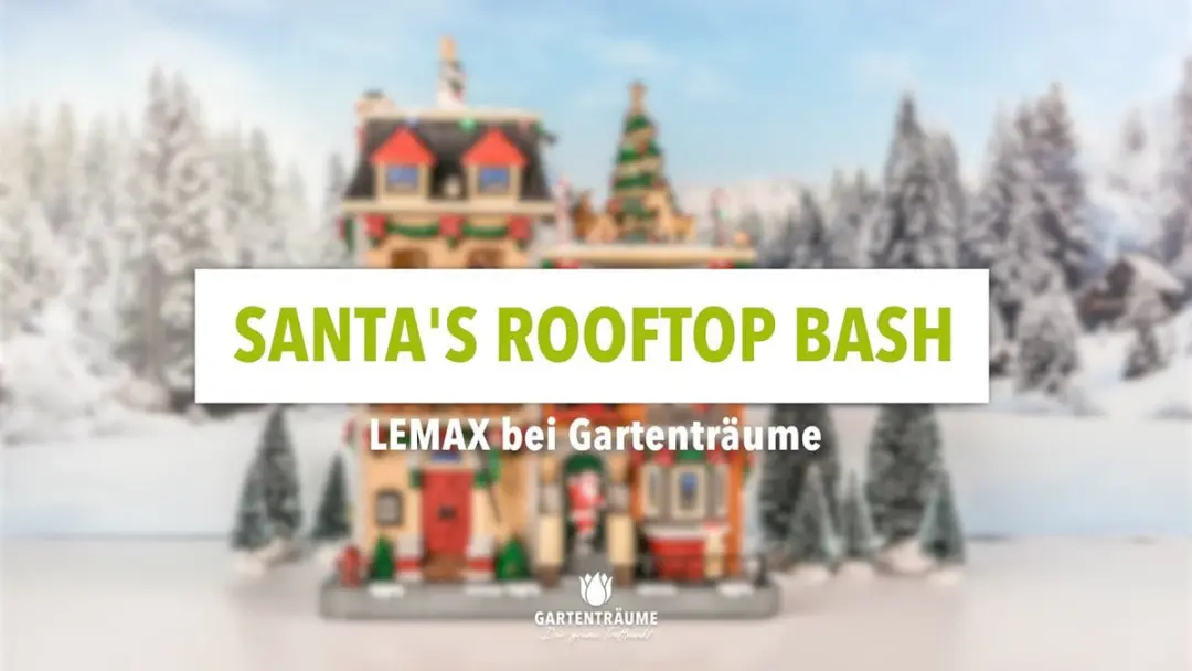Lemax Santa's Rooftop Bash Verlichte Attractie - Meerkleurig