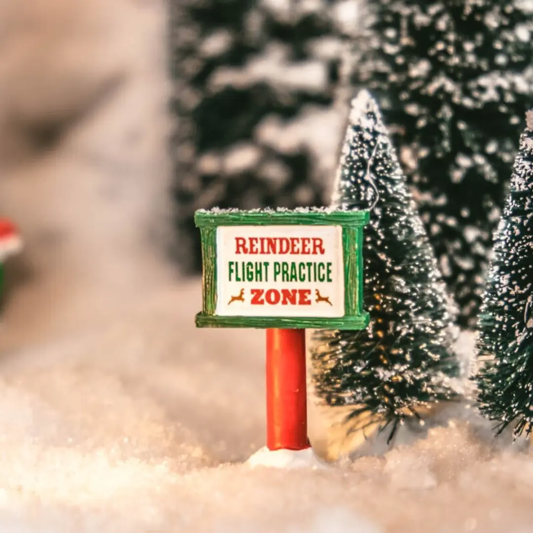 Lemax North Pole Signs - Neutraal