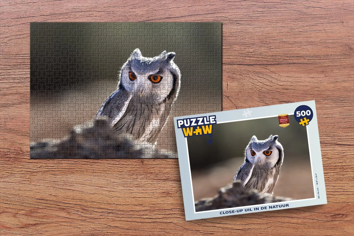 PuzzleWow Macro Legpuzzel Uil 500 Stuks - Multicolor