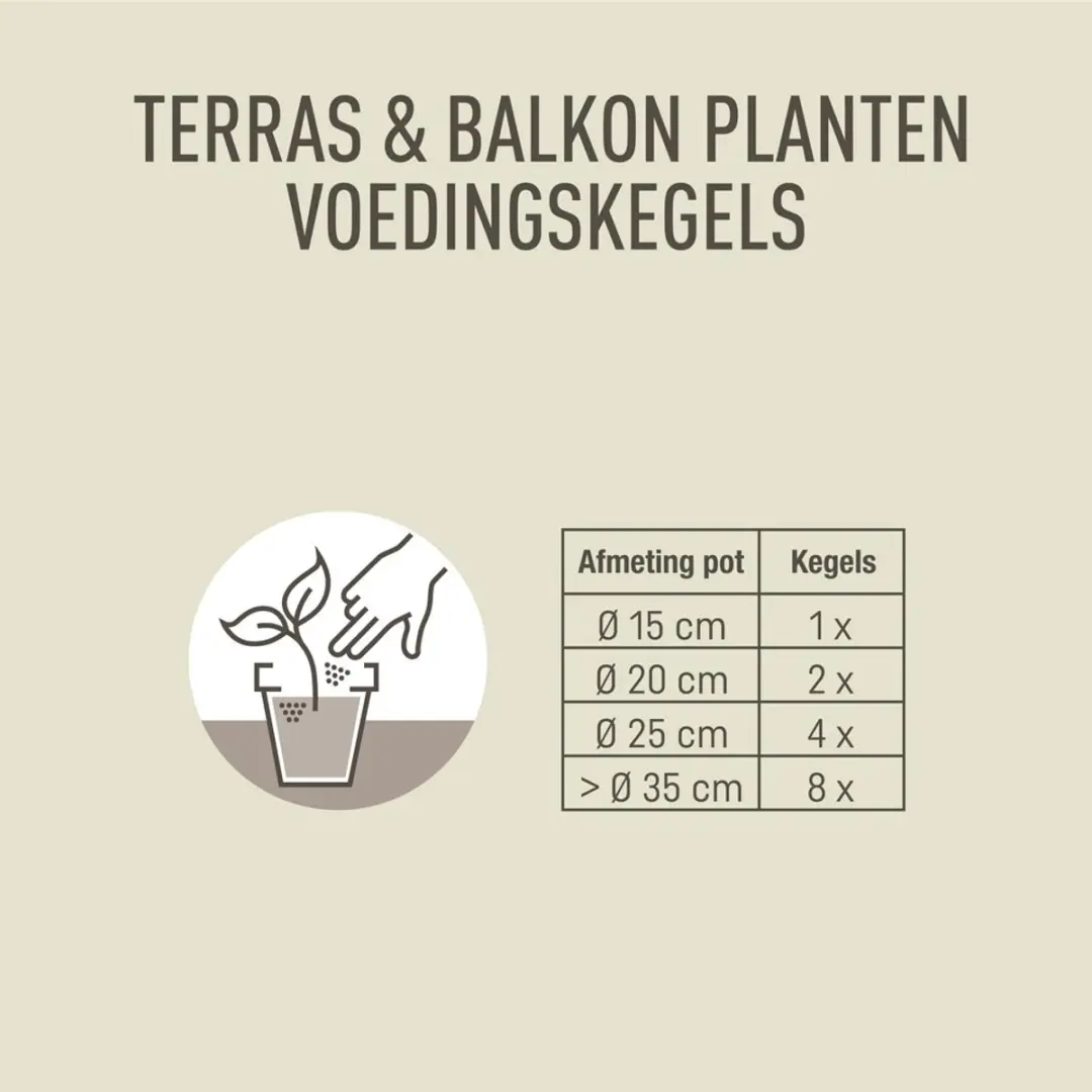 Pokon Voedingskegels Terras- & Balkonplanten - 10 Stuks - afbeelding 4 van 5