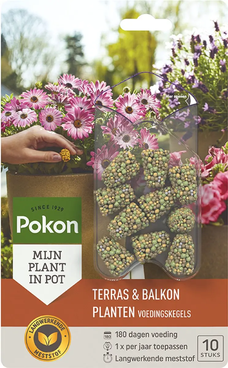 Pokon Voedingskegels Terras- & Balkonplanten