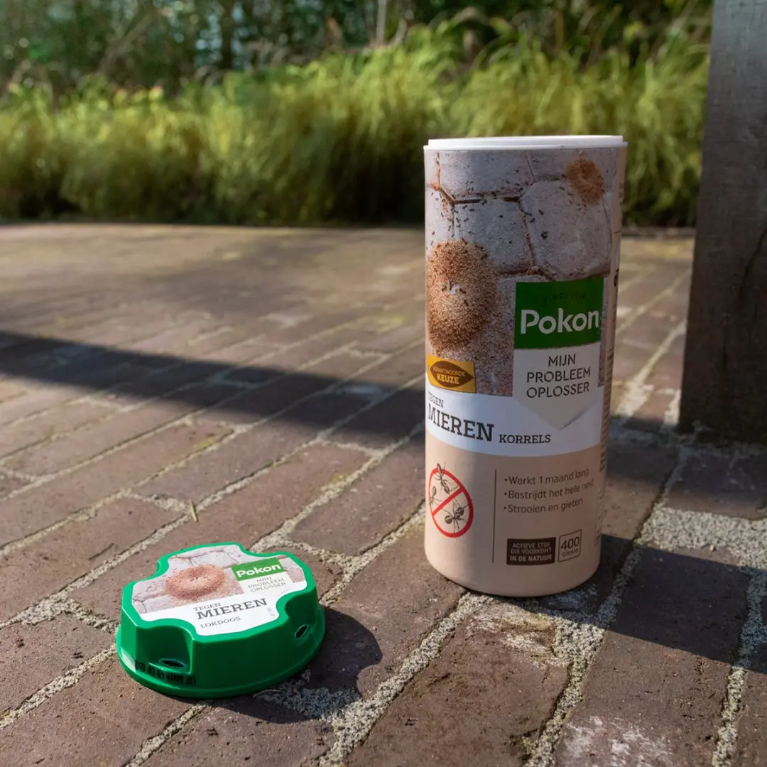 Pokon Tegen Mieren Korrels 250g - afbeelding 6 van 6