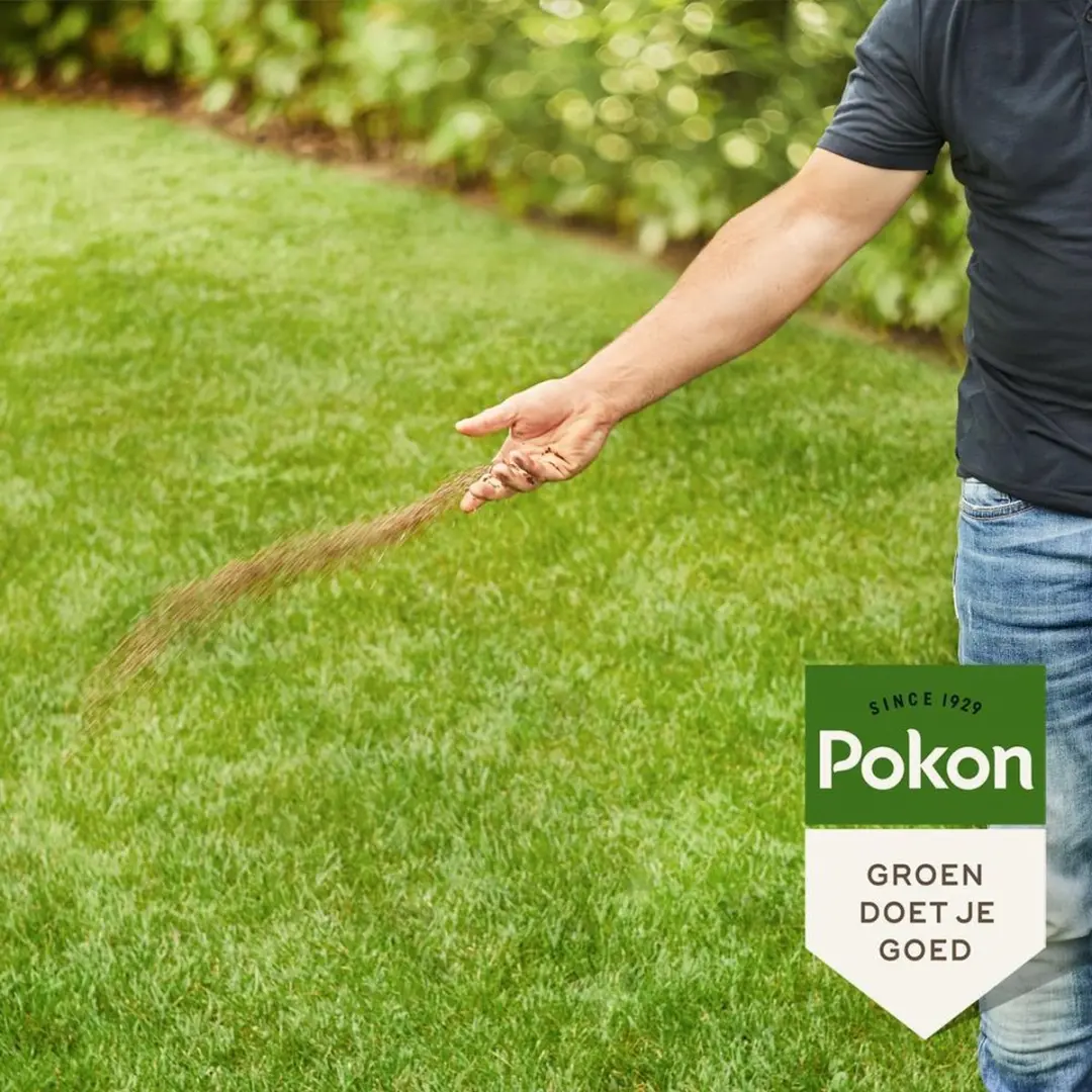 Pokon Bio Gazonmest 1kg - 15m² - 120 dagen - afbeelding 6 van 6