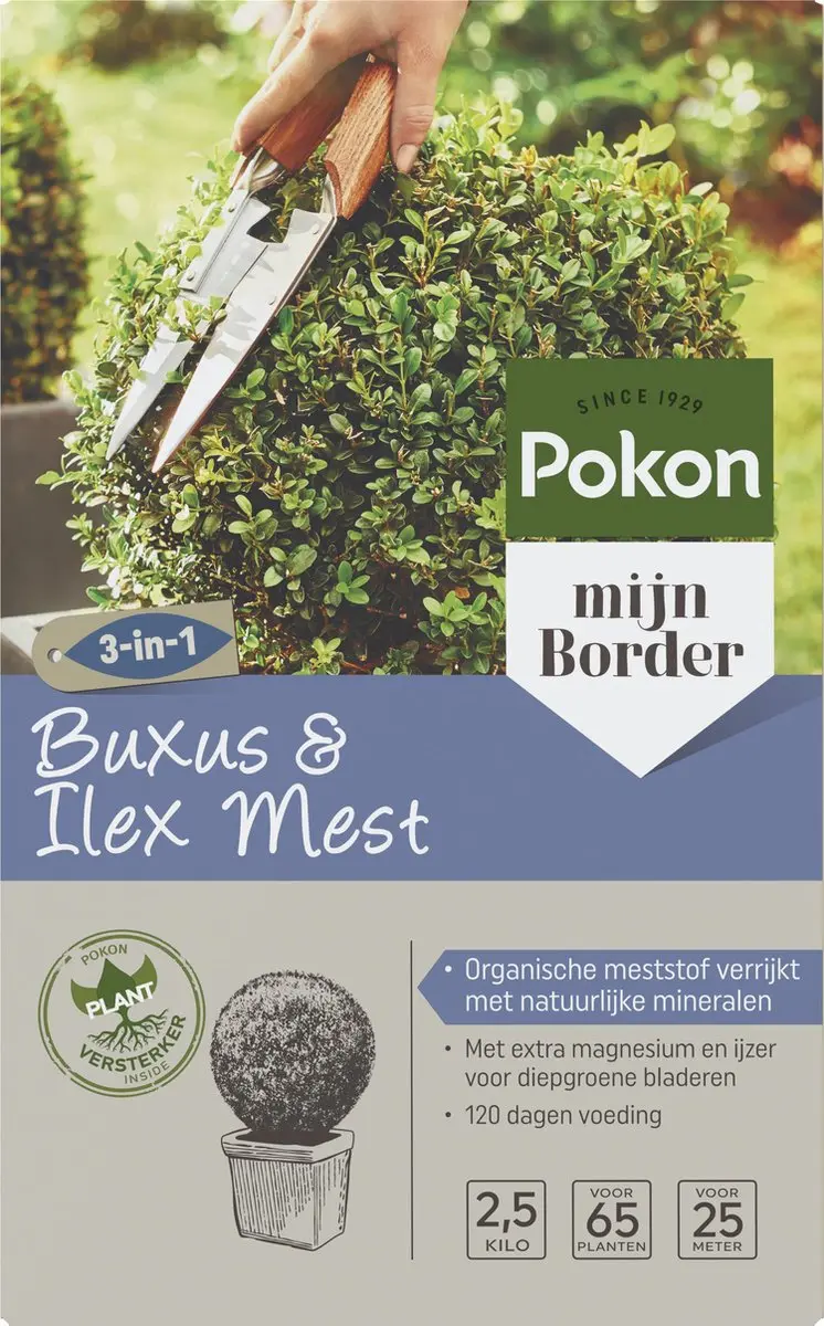 Pokon Buxus & Ilex Meststof 2,5kg