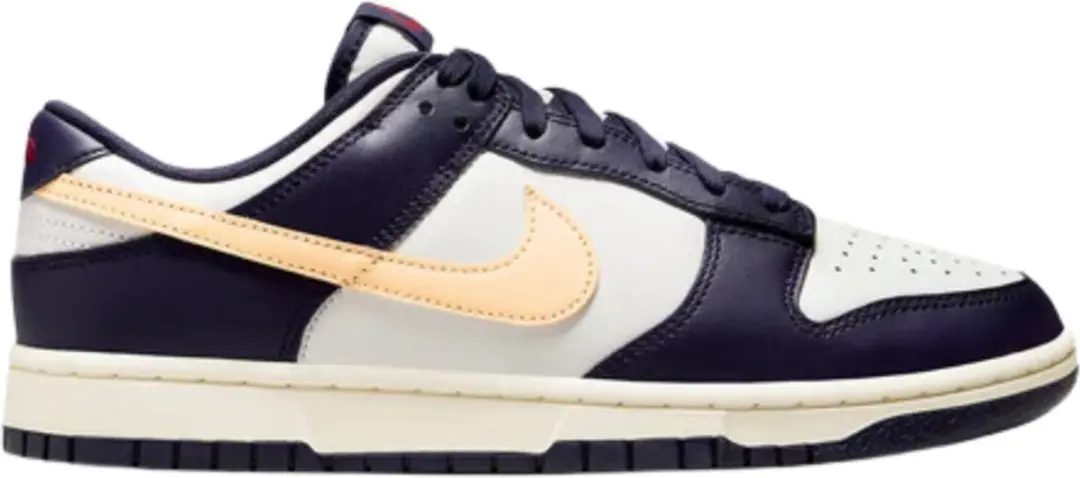 Nike Dunk Low Retro