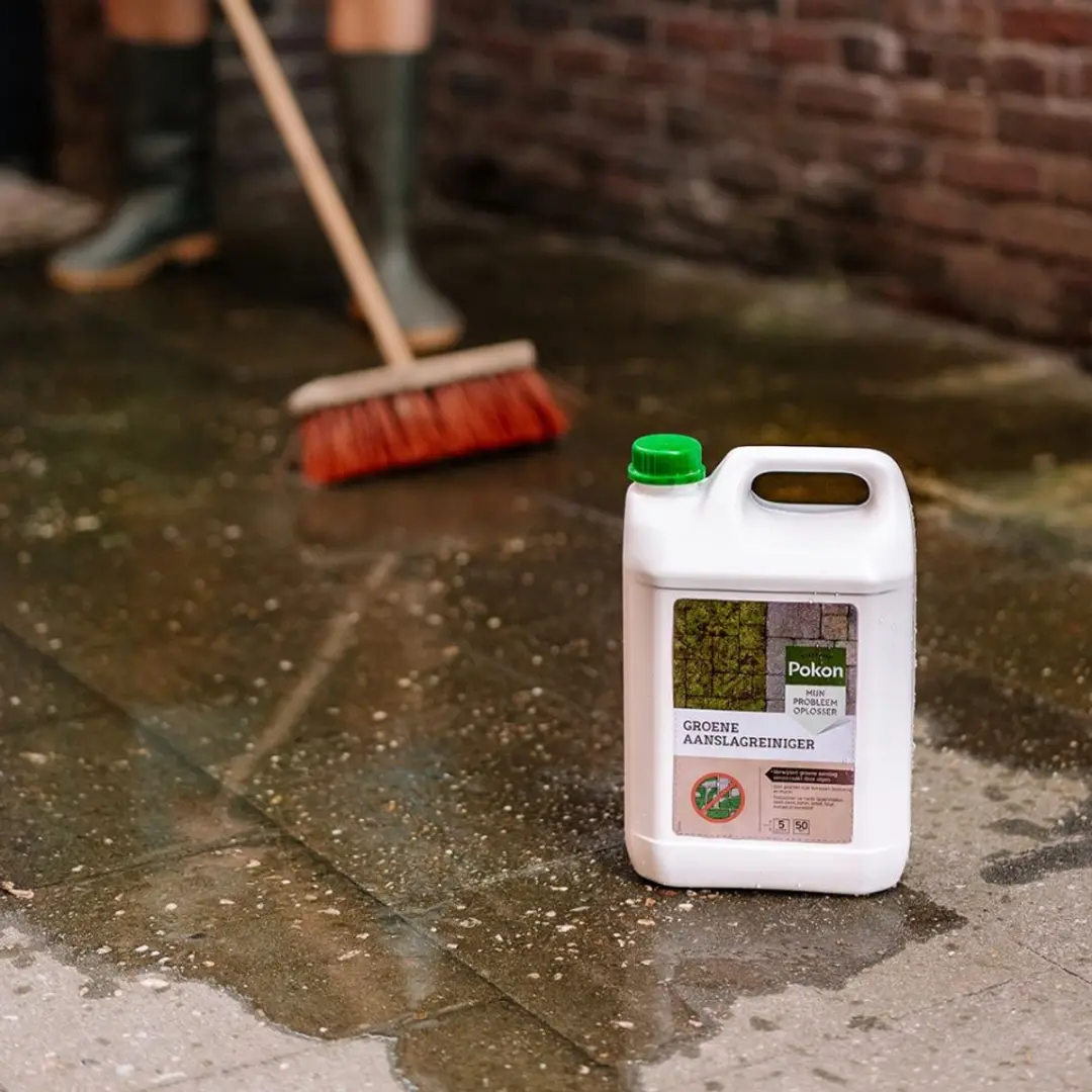 Pokon Groene Aanslag Reiniger 5L - Kant-en-klaar - afbeelding 4 van 4
