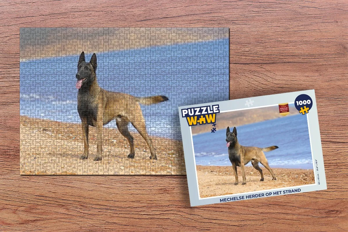 PuzzleWow Legpuzzel Mechelse Herder Strand 1000 Stuks - Multicolor