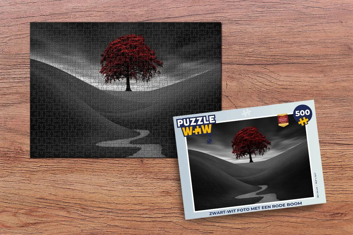 PuzzleWow Legpuzzel 500 Stuks - Multicolor