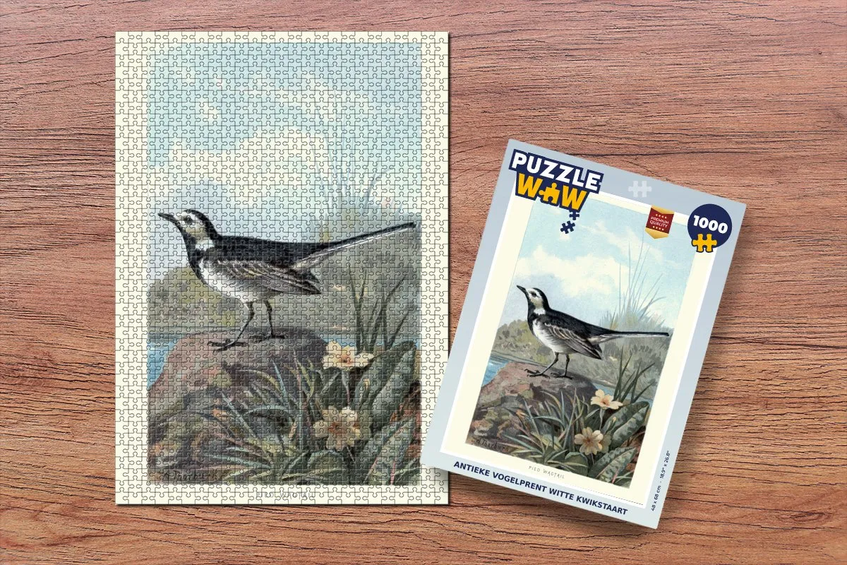 PuzzleWow Antieke Vogelprent Witte Kwikstaart - Legpuzzel 1000 Stuks - Multicolor
