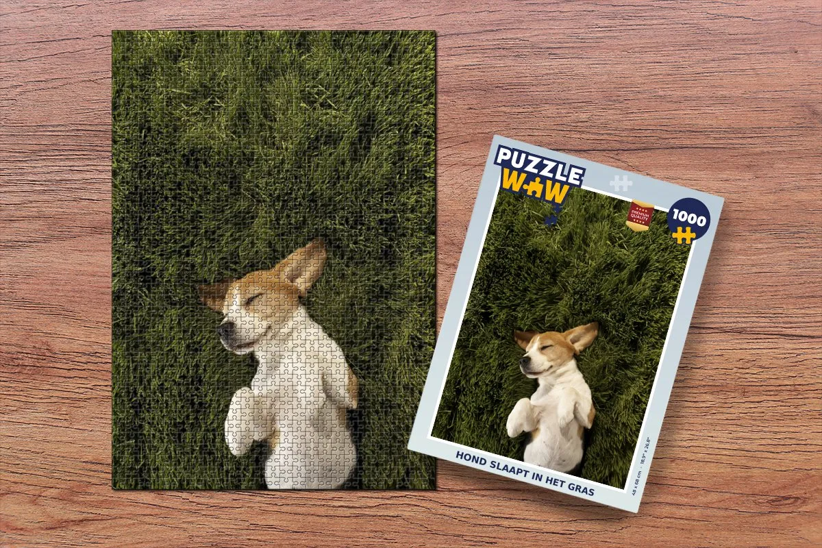 PuzzleWow Legpuzzel Hond slaapt in het gras 1000 Stuks - Multicolor