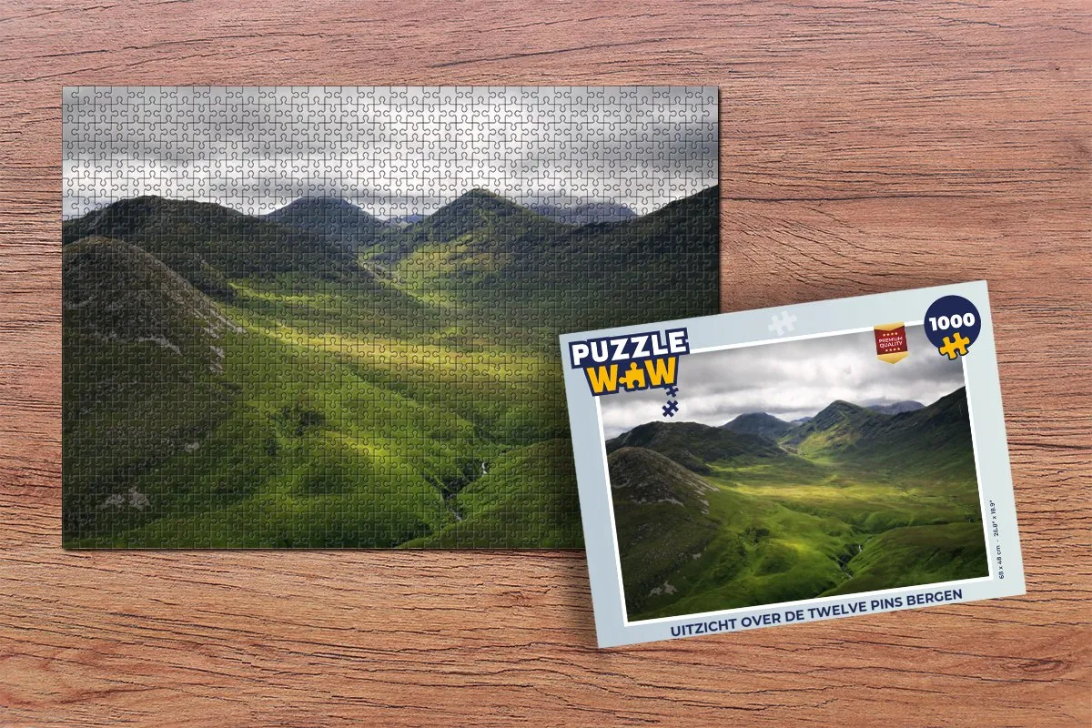 PuzzleWow Legpuzzel Twelve Pins 1000 Stuks - Multicolor