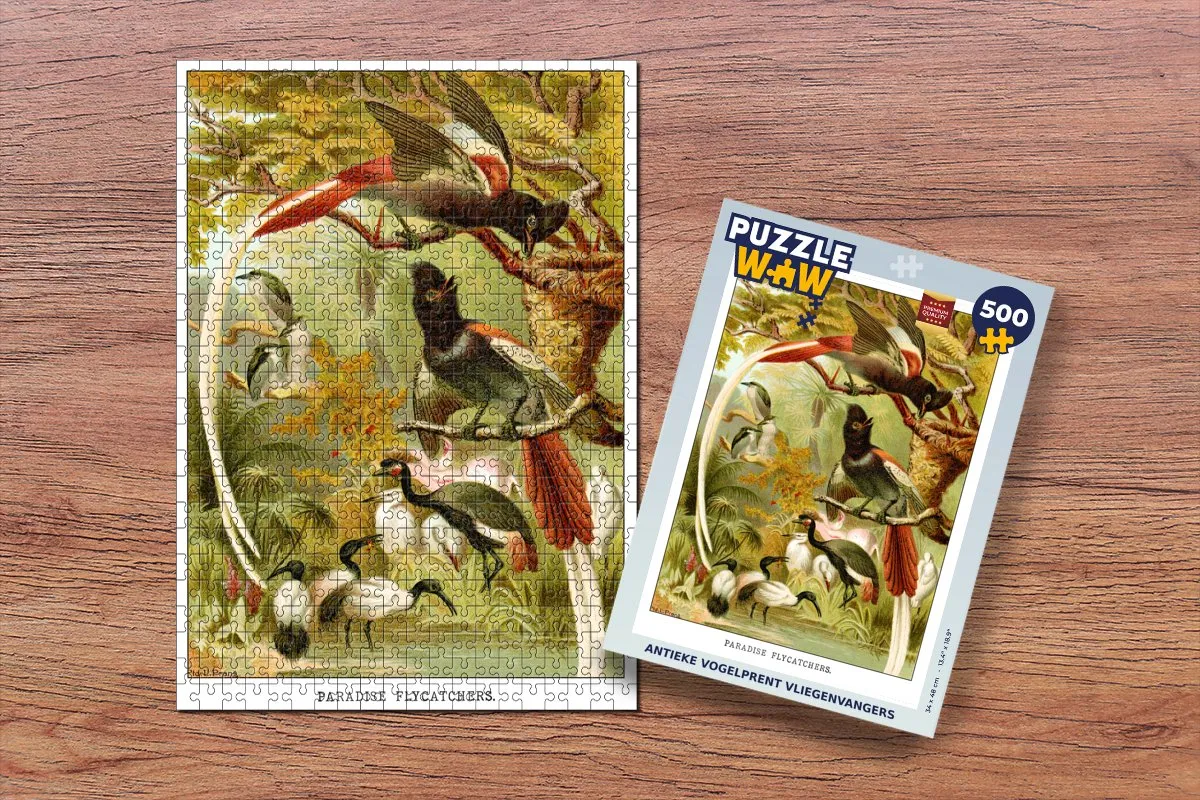 PuzzleWow Antieke Vogelprent Vliegenvangers Legpuzzel 500 Stuks - Multicolor