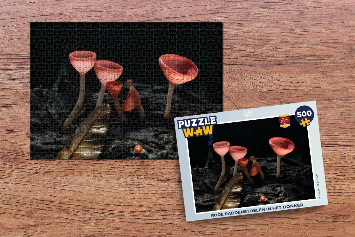PuzzleWow Rode Paddenstoelen in het Donker Legpuzzel 500 Stuks - Multicolor