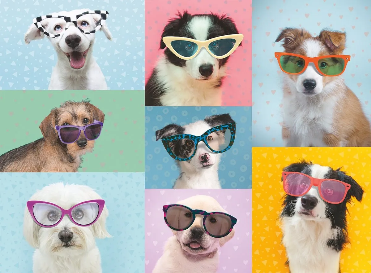 Ravensburger Dog Photo Legpuzzel 150 Stuks - Multicolor
