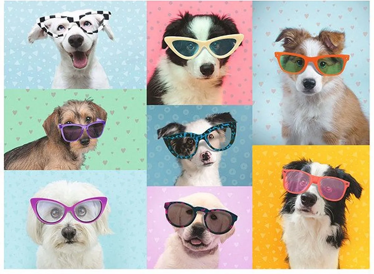 Ravensburger Dog Photo Legpuzzel 150 Stuks - Multicolor - afbeelding 6 van 6