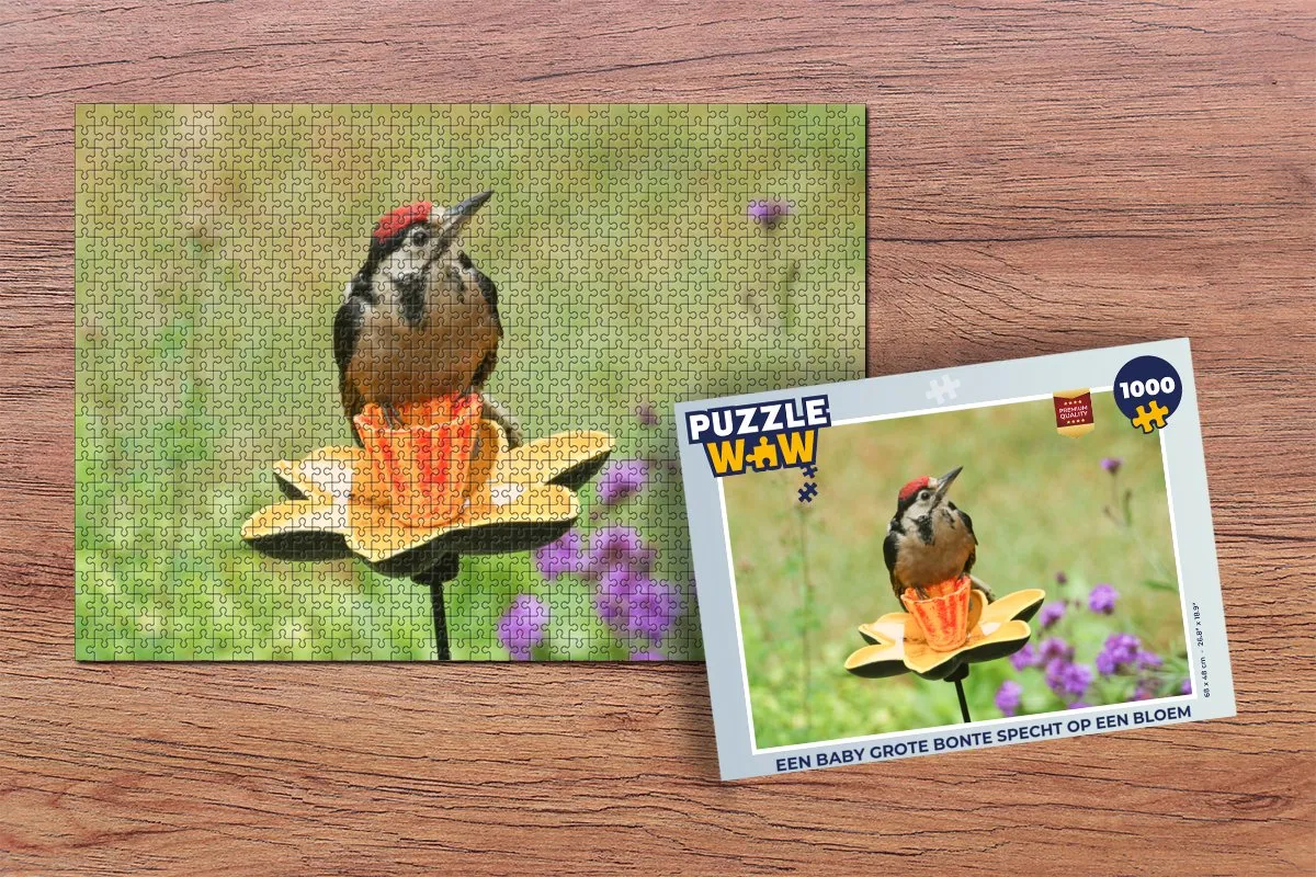 PuzzleWow Legpuzzel Een Baby Grote Bonte Specht - 1000 Stuks - Multicolor