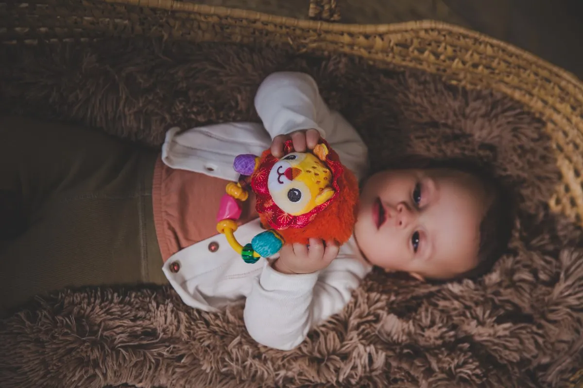VTech Dierenvriendjes Rammelaar Leeuw - Multikleuren