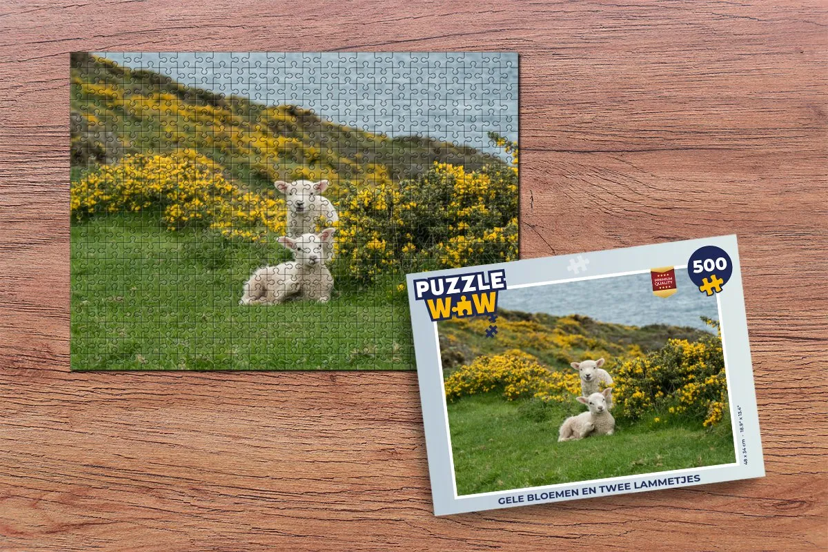 PuzzleWow Legpuzzel Gele bloemen en lammetjes 500 Stuks - Multicolor