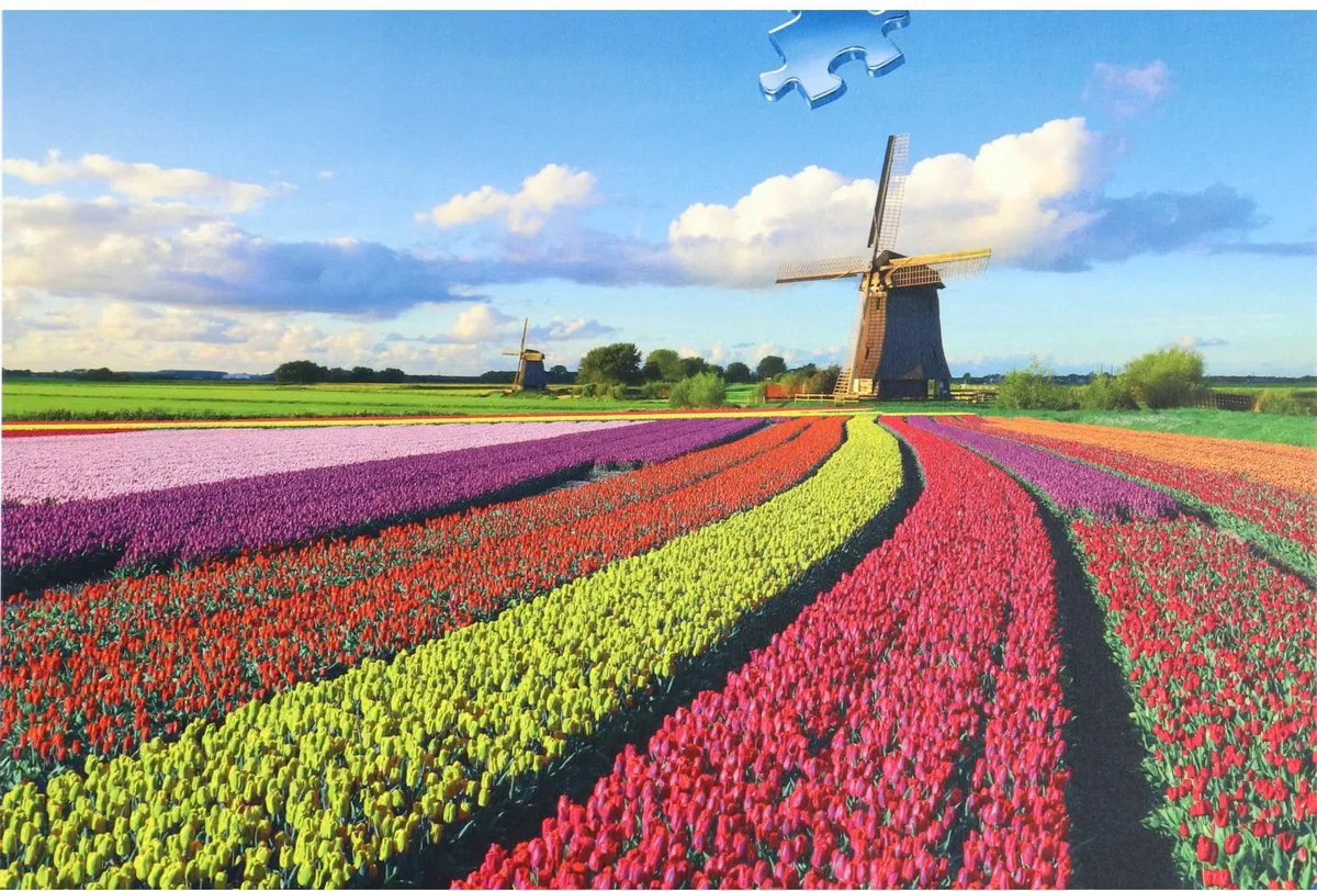 Ravensburger Hollandse Windmolen Legpuzzel 1000 Stuks RAV-896066 - Multicolor