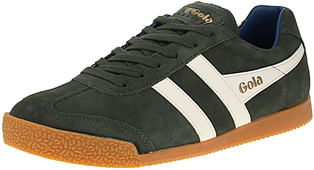 Gola Harrier