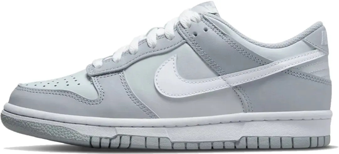 Nike Dunk Low DJ6188-001 - Cool Grey/Medium Grey/White - afbeelding 2 van 6