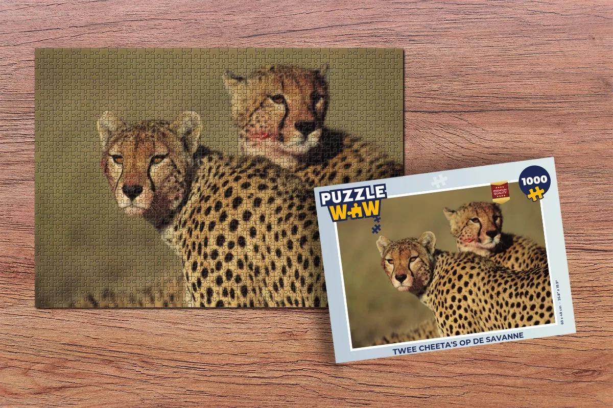 PuzzleWow Legpuzzel Twee cheeta's op de savanne 1000 Stuks - Multicolor