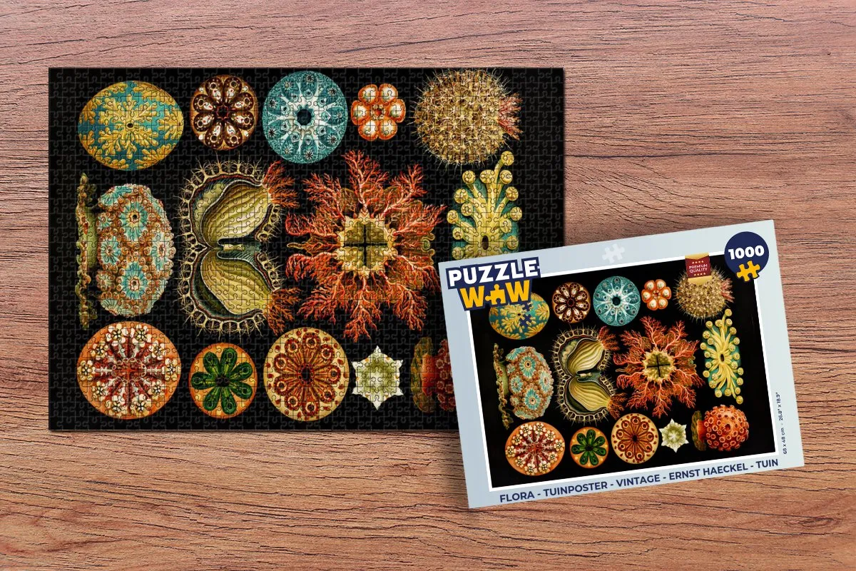 PuzzleWow Vintage Zeedieren Legpuzzel 1000 Stuks - Ernst Haeckel - Multicolor