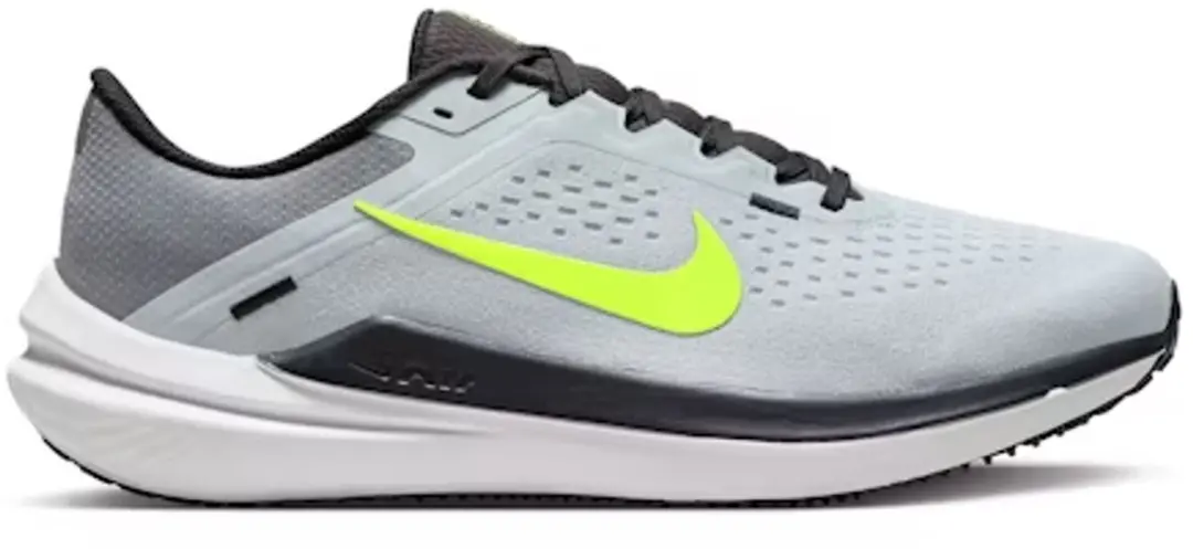 Nike Nike Air Winflo 10