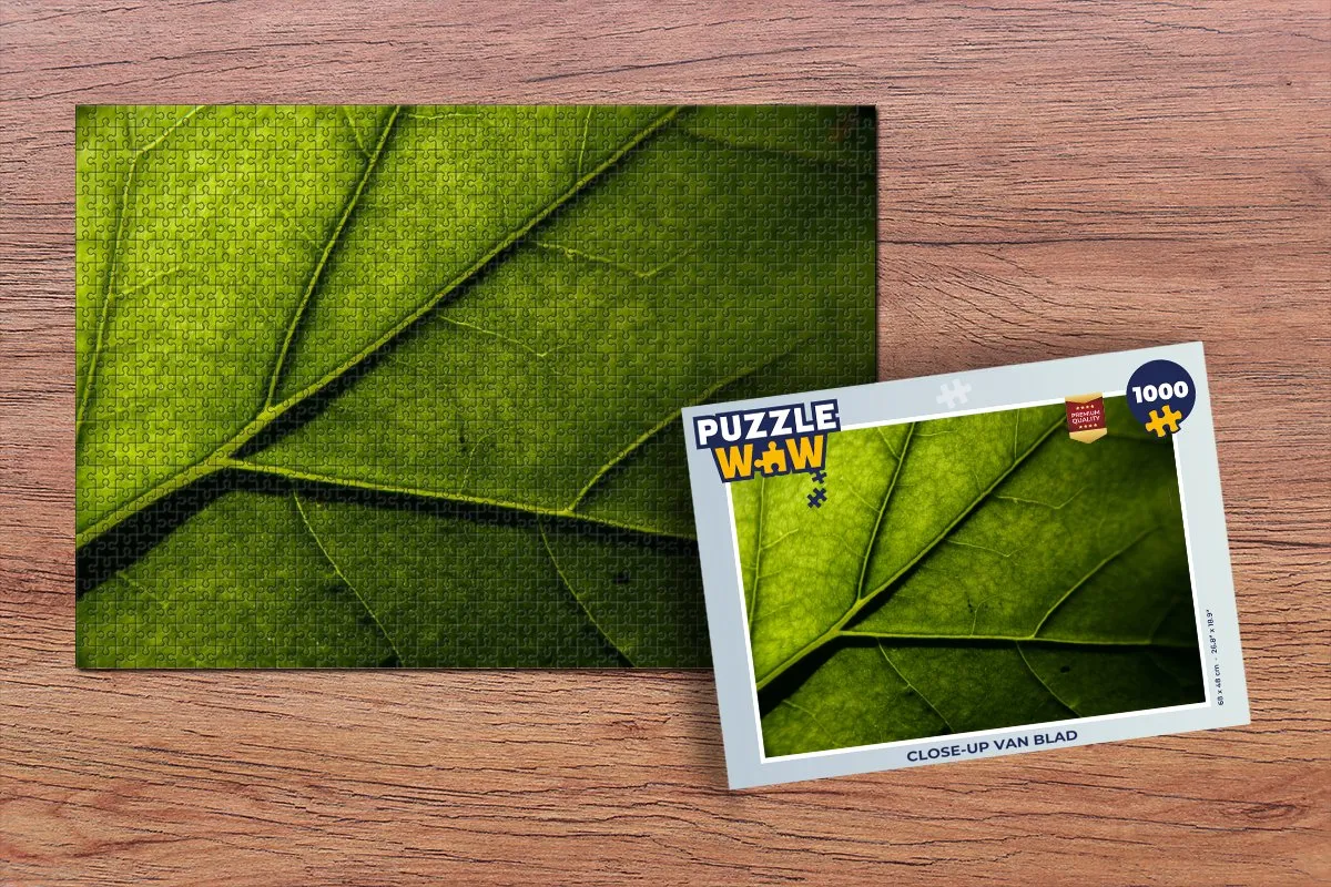 PuzzleWow Legpuzzel 1000 Stuks - Multicolor