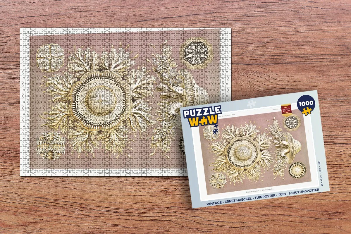 PuzzleWow Vintage Ernst Haeckel Legpuzzel 1000 Stuks - Multicolor