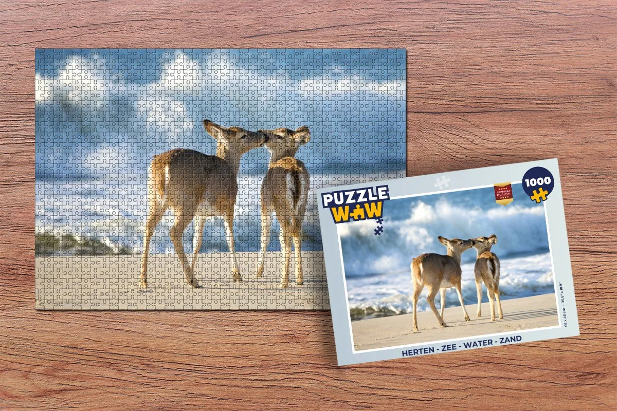 PuzzleWow Legpuzzel 1000 Stuks Multicolor