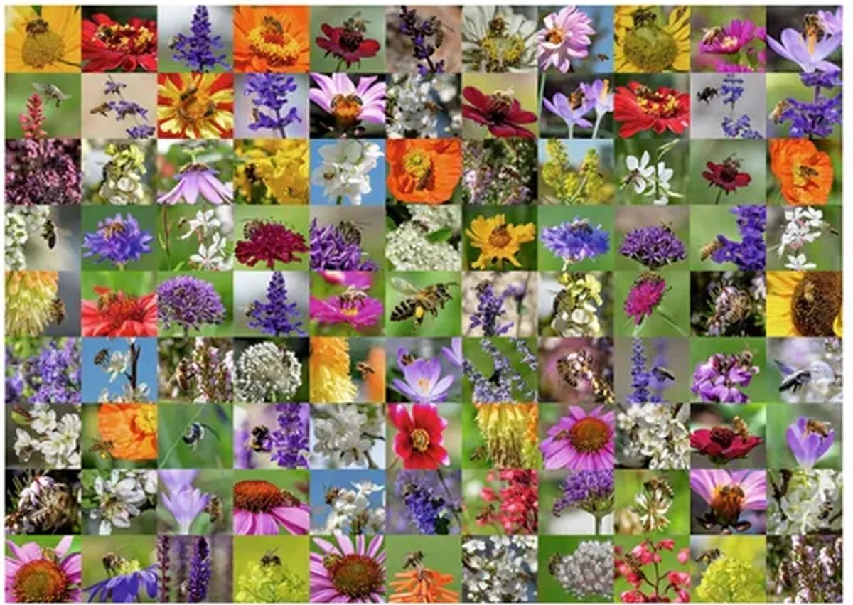 Ravensburger Bijen Puzzel 1000 Stuks - Multicolor