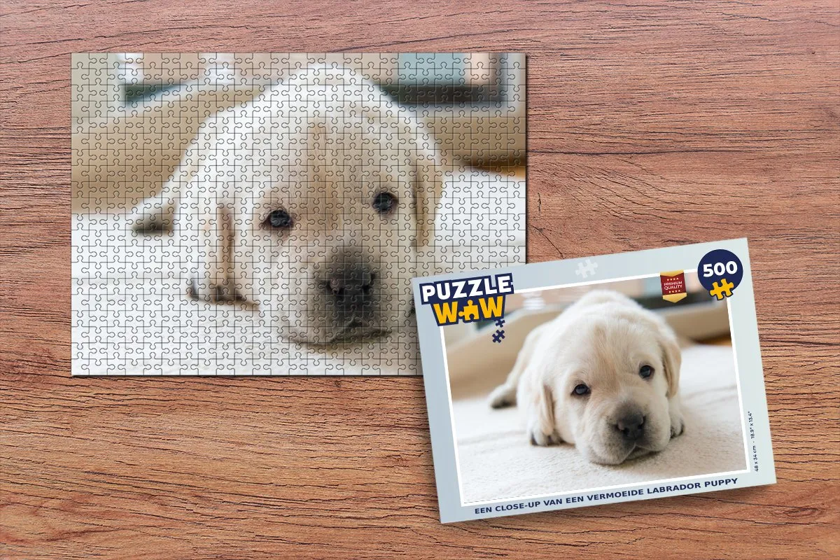 PuzzleWow Legpuzzel 500 Stuks - Multicolor