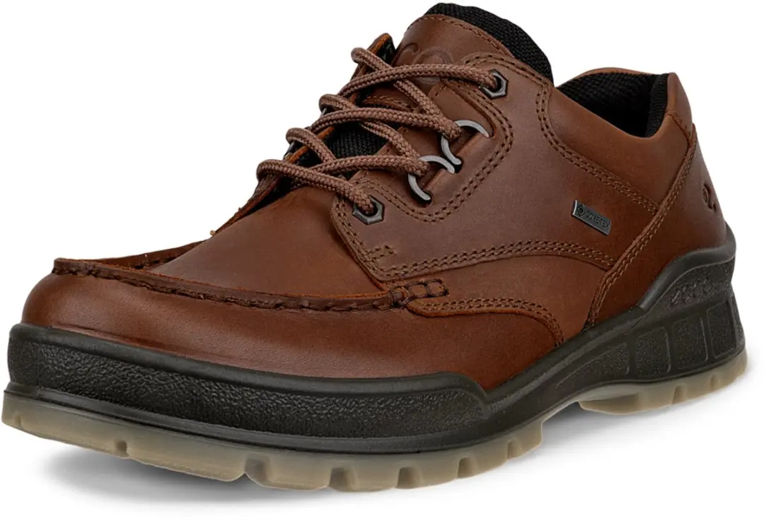 Bootschoenen Ecco Track 25 GTX