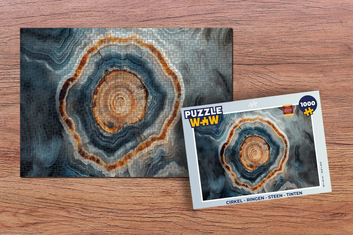 PuzzleWow Legpuzzel 1000 Stukken - Cirkel Ringen