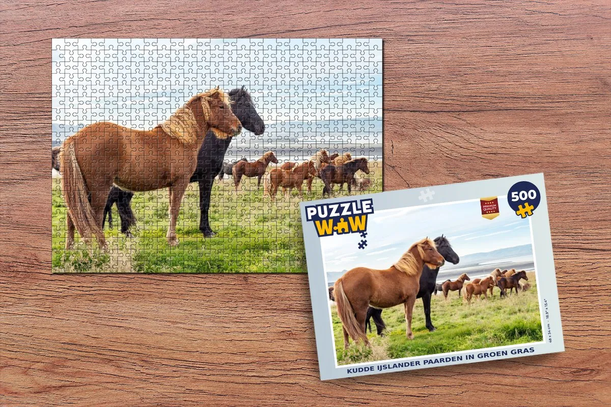 PuzzleWow Legpuzzel IJslander paarden 500 Stuks - Multicolor