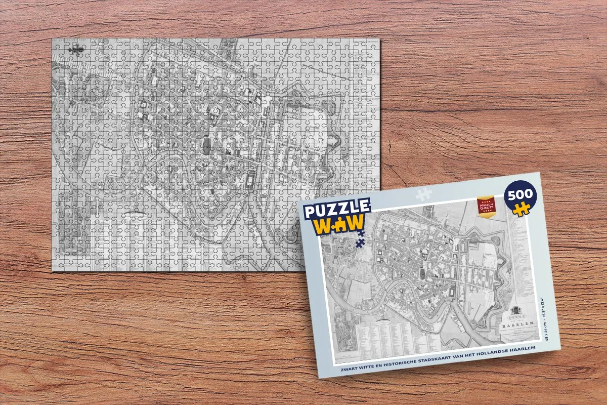 PuzzleWow Haarlem Antiek Legpuzzel 500 Stuks - Multicolor