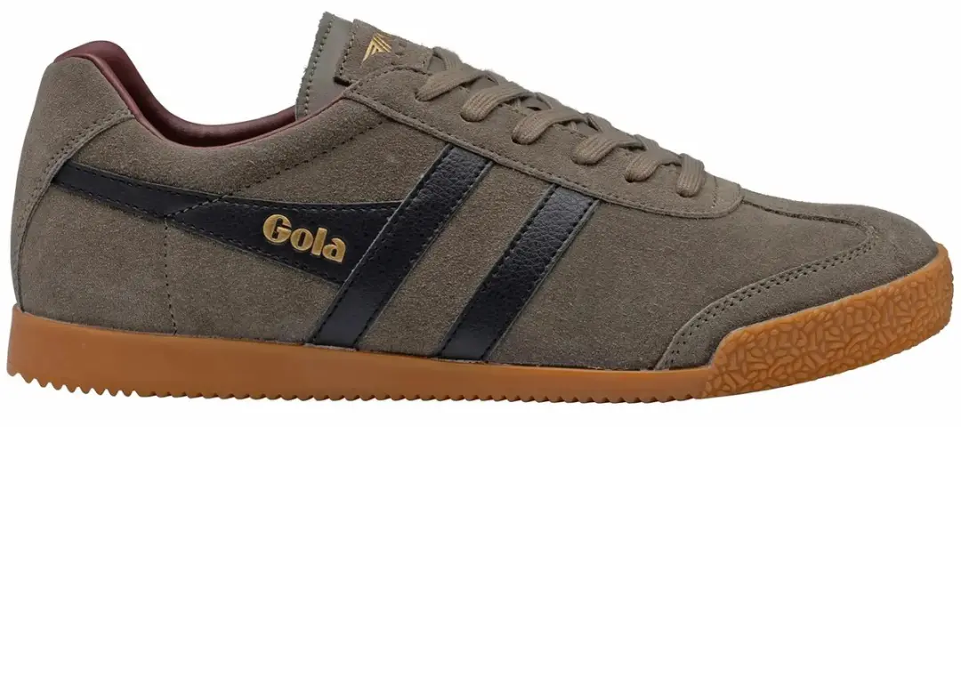 Baskets Gola Harrier