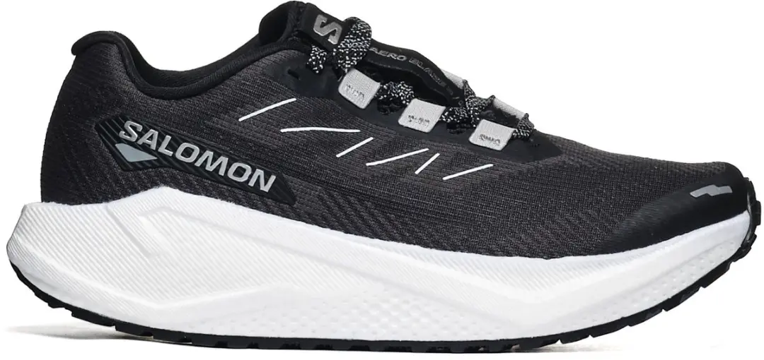 Sportieve Salomon AERO BLAZE 3 GRVL W 38 2/3 Dames