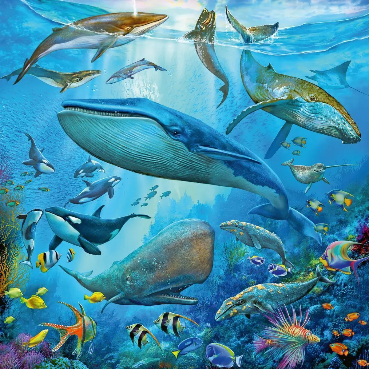 Ravensburger Dieren in de Oceaan Puzzel - 147 Stuks (3x49) - Multicolor