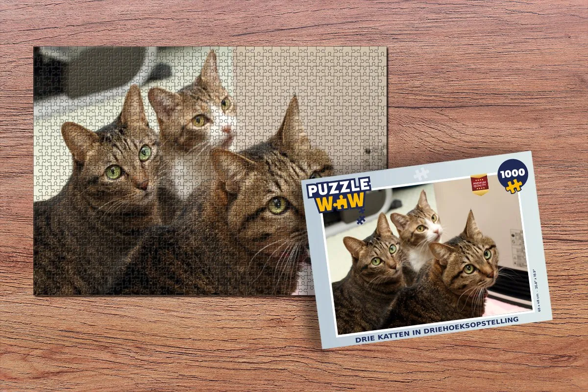 PuzzleWow Katten Puzzel 1000 Stuks - Multicolor