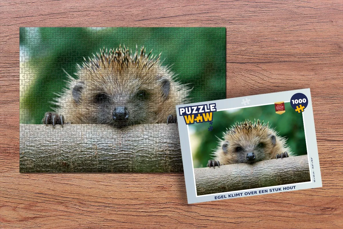 PuzzleWow Legpuzzel 1000 Stuks - Egel op hout - Multicolor