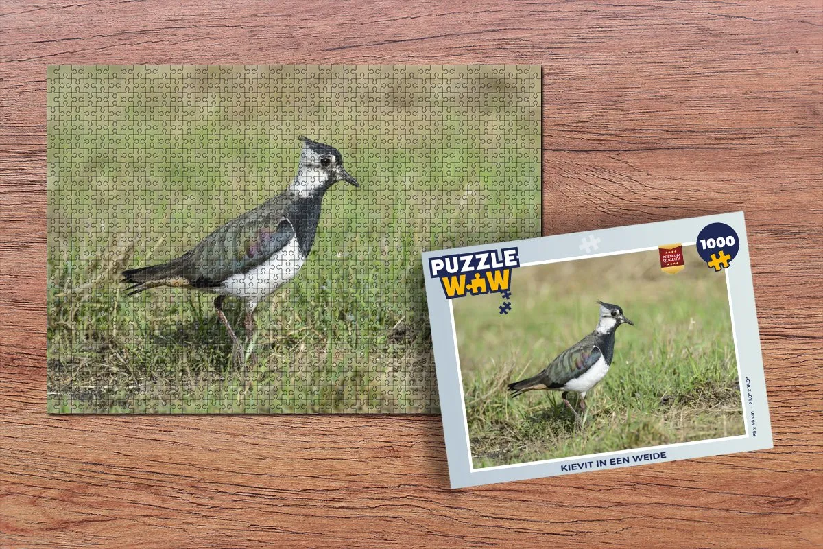 PuzzleWow Kievit in een Weide Legpuzzel 1000 Stuks - Multicolor