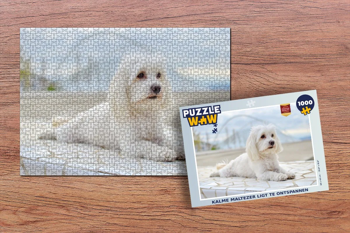 PuzzleWow Legpuzzel 1000 Stuks Multicolor