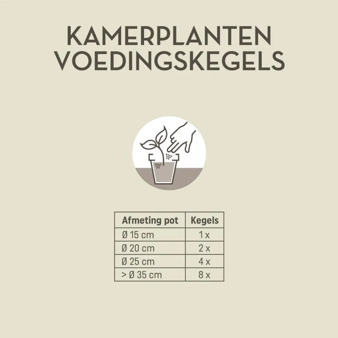 Pokon Kamerplanten Voedingskegels 10 Stuks - afbeelding 3 van 5