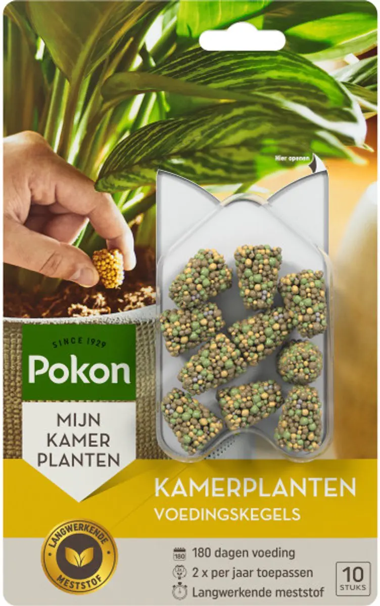 Pokon Kamerplanten Voedingskegels 10 Stuks