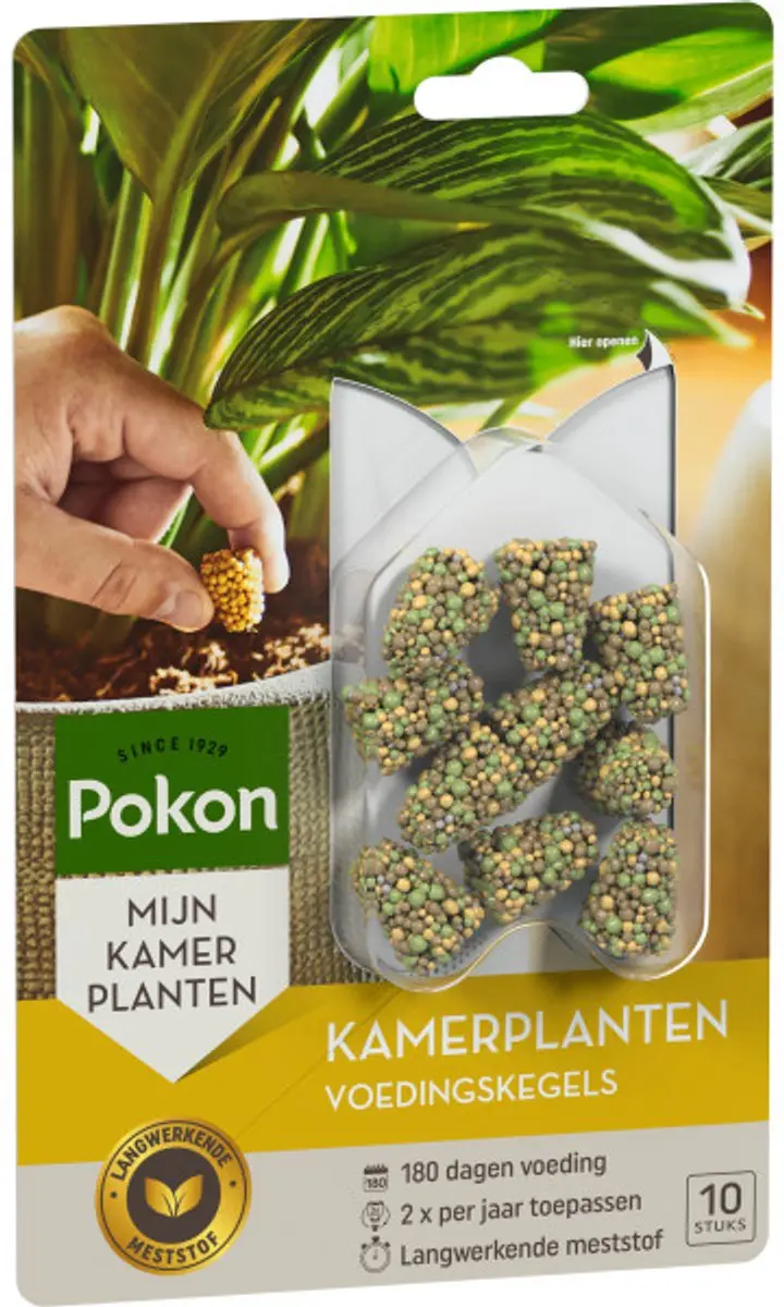 Pokon Kamerplanten Voedingskegels 10 Stuks - afbeelding 2 van 5