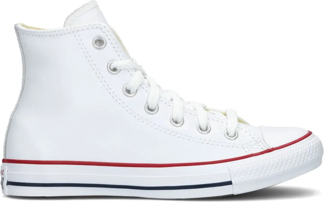 Converse Chuck Taylor All Star Hi Hoge sneakers