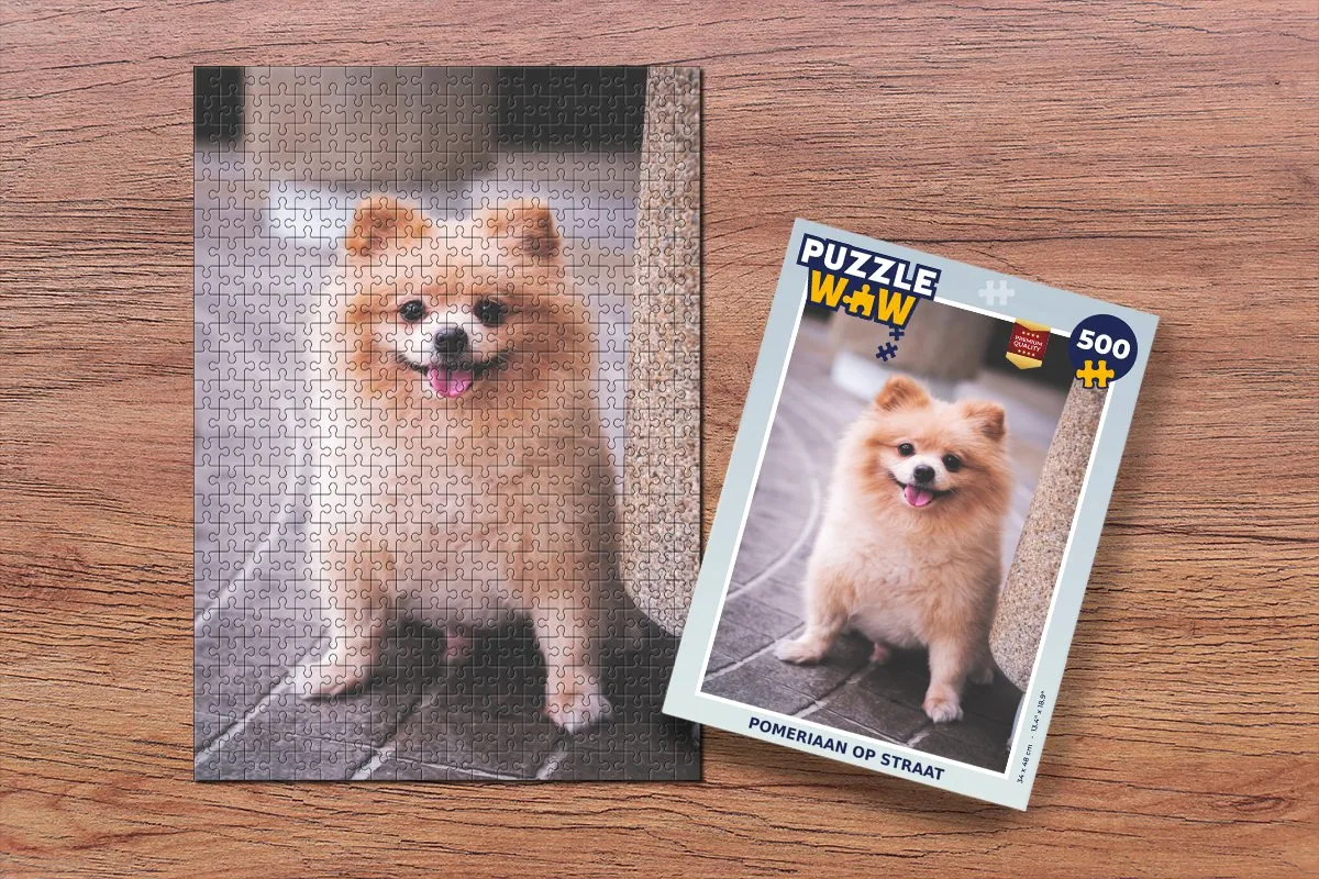 PuzzleWow Pomeriaan op straat Legpuzzel 500 Stuks - Multicolor